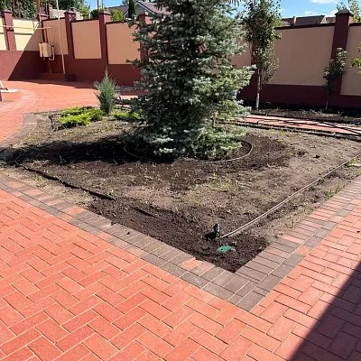 Посадка: клумба с елью и автополивом