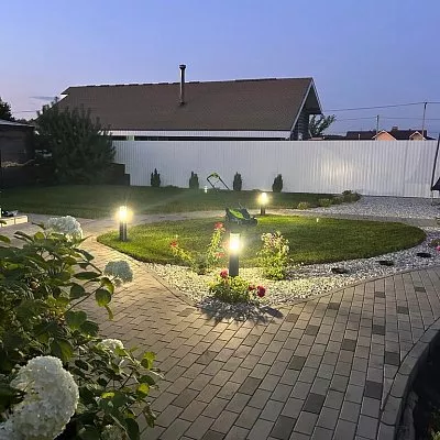 Гортензия у дорожки