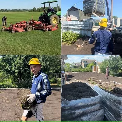 Срезка газона на поле и доставка на участок (коллаж)