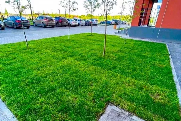 Автополив и озеленение в Самаре — работа GREENSAM