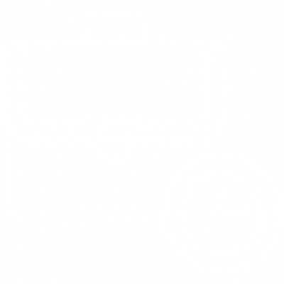 Опыт работы более 10 лет